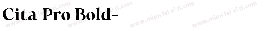 Cita Pro Bold字体转换